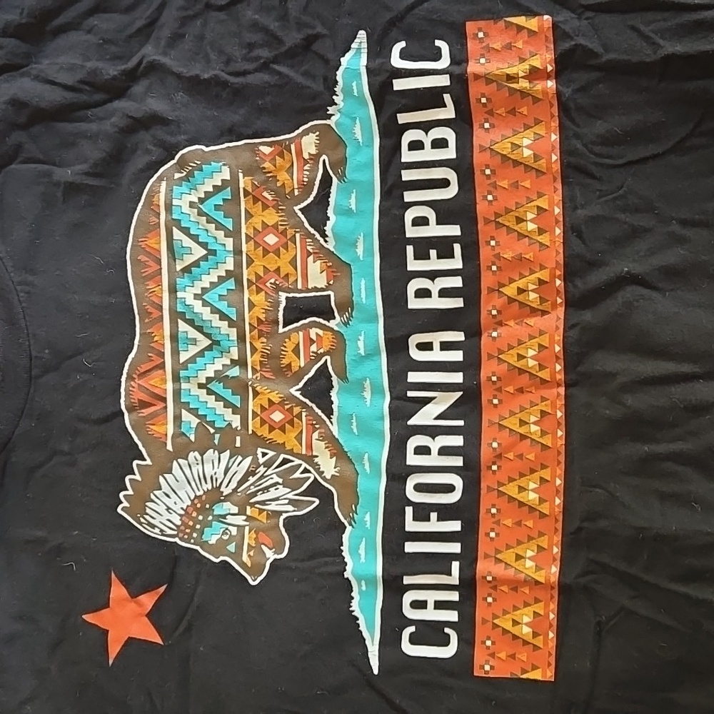 Urban Outfitters California Republic Tee Native Large